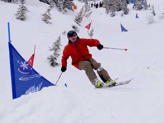 slushy slalom skier