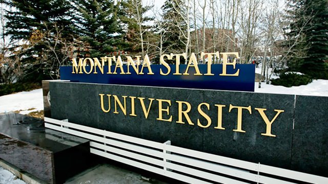 MSU Sign