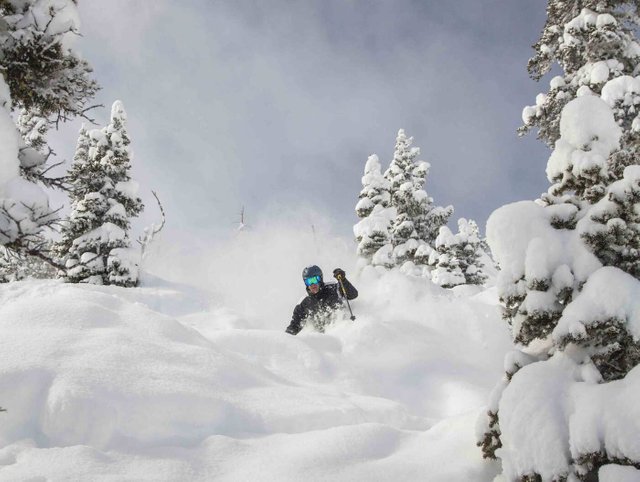 Simon Peterson Powder Skier from below