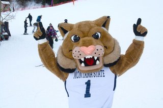 MSU Bobcat Mascot