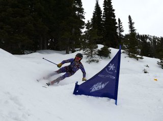 slushy slalom skier